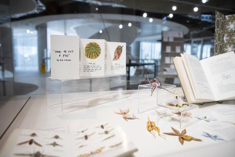 Artworks and books in display case